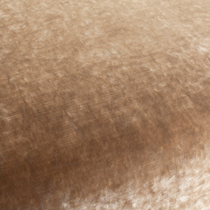 Carlucci Sensual Velvet 073 Fabric CA1639/073