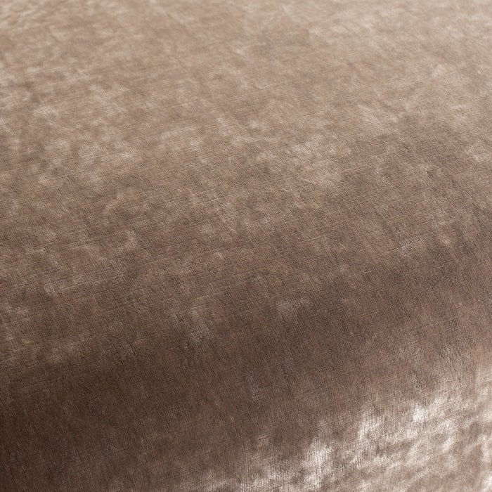 Carlucci Sensual Velvet 074 Fabric CA1639/074