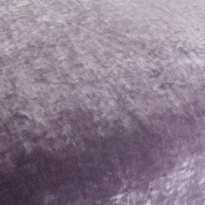 Carlucci Sensual Velvet 080 Fabric Sample CA1639/080