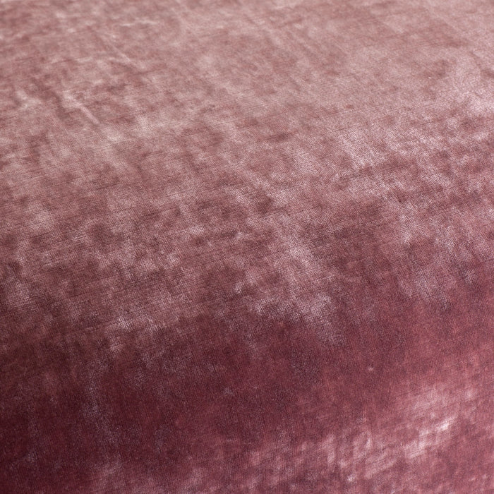 Carlucci Sensual Velvet 081 Fabric Sample CA1639/081