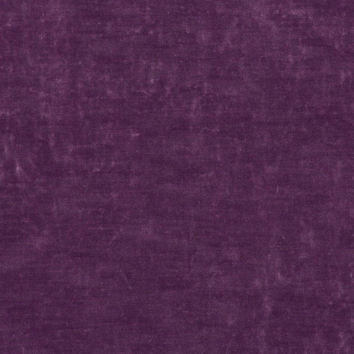 Carlucci Sensual Velvet 083 Fabric Sample CA1639/083