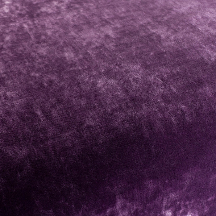 Carlucci Sensual Velvet 083 Fabric Sample CA1639/083