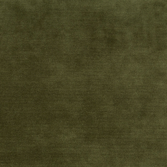 Carlucci Aristocrat 031 Fabric CA1650/031