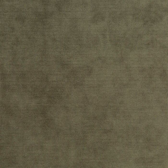 Carlucci Aristocrat 032 Fabric CA1650/032