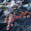 Carlucci Exotic Explorer 050 Fabric CA1657/050