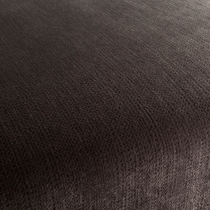 Carlucci Beloved 024 Fabric Sample CA1662/024