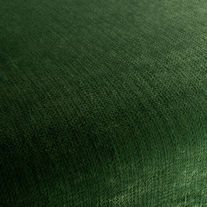 Carlucci Beloved 031 Fabric Sample CA1662/031