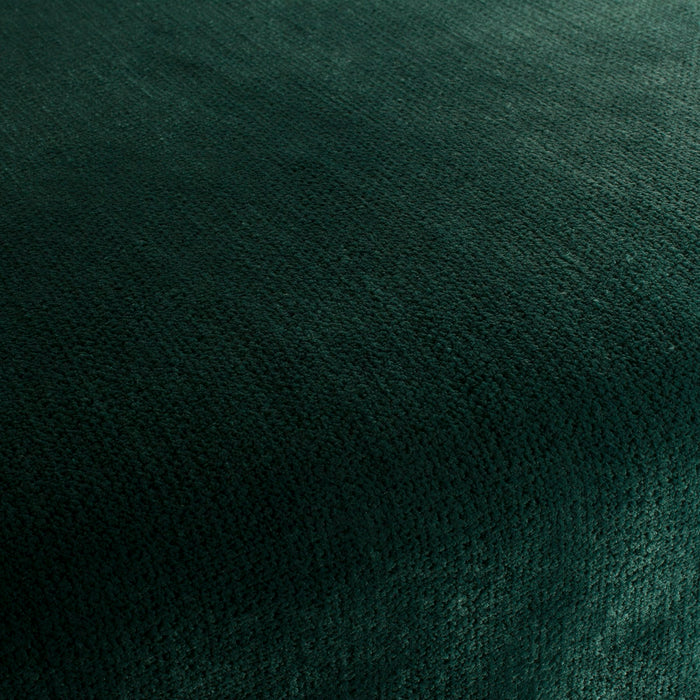 Carlucci Beloved 033 Fabric Sample CA1662/033