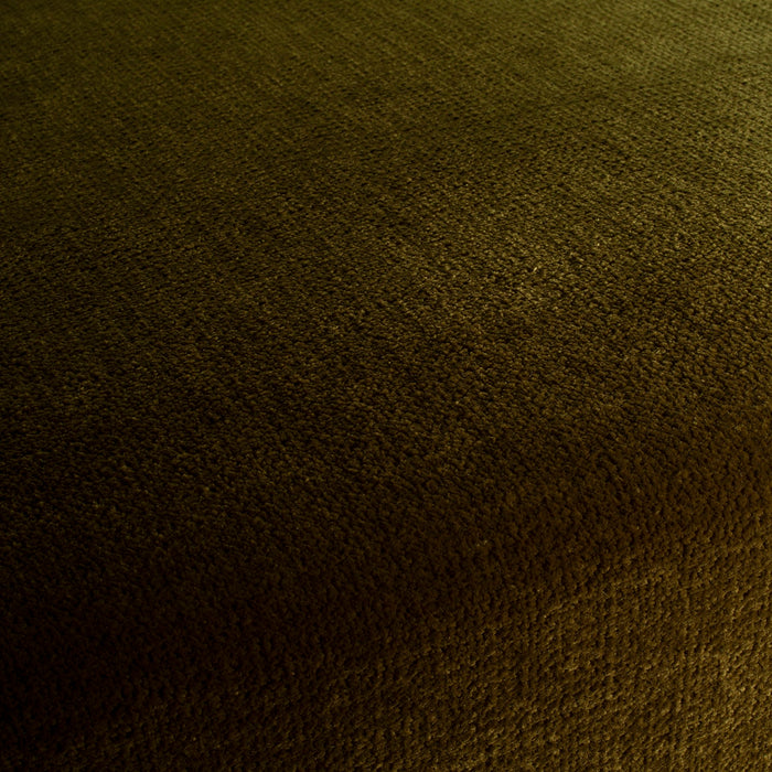 Carlucci Beloved 034 Fabric CA1662/034