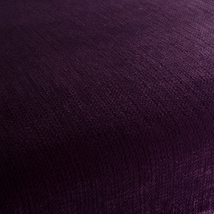 Carlucci Beloved 081 Fabric Sample CA1662/081