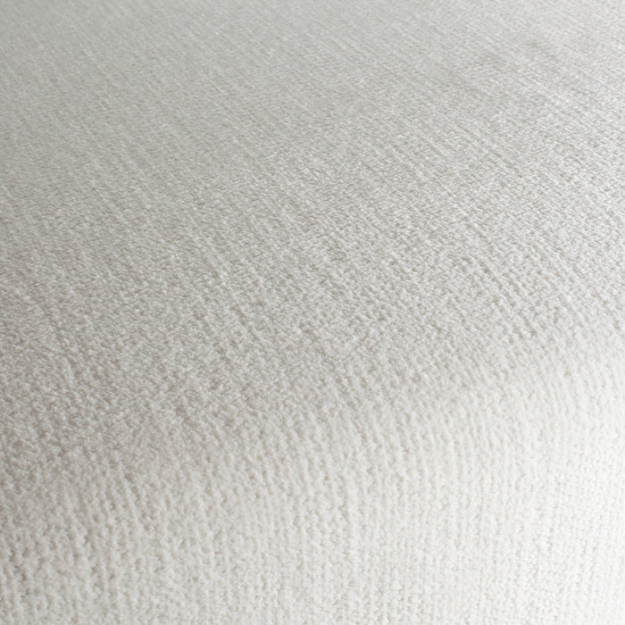 Carlucci Beloved 090 Fabric CA1662/090