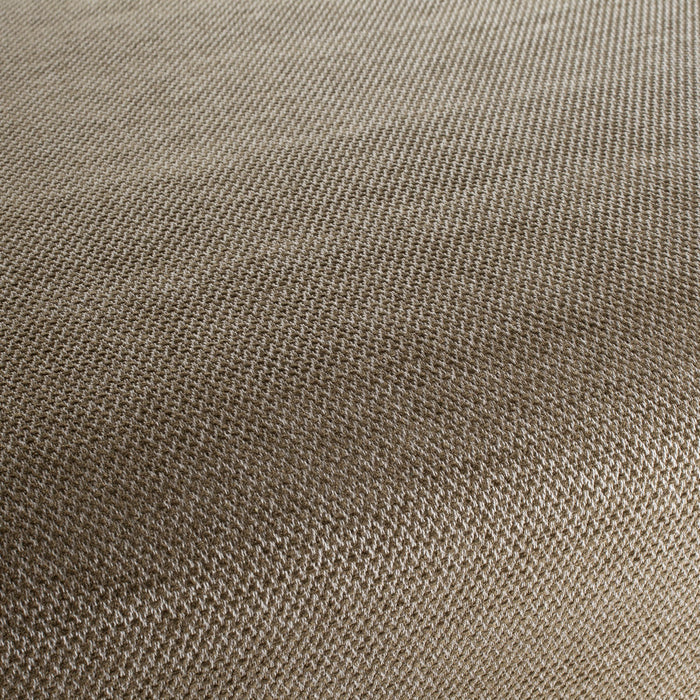Carlucci Believer 022 Fabric Sample CA1664/022