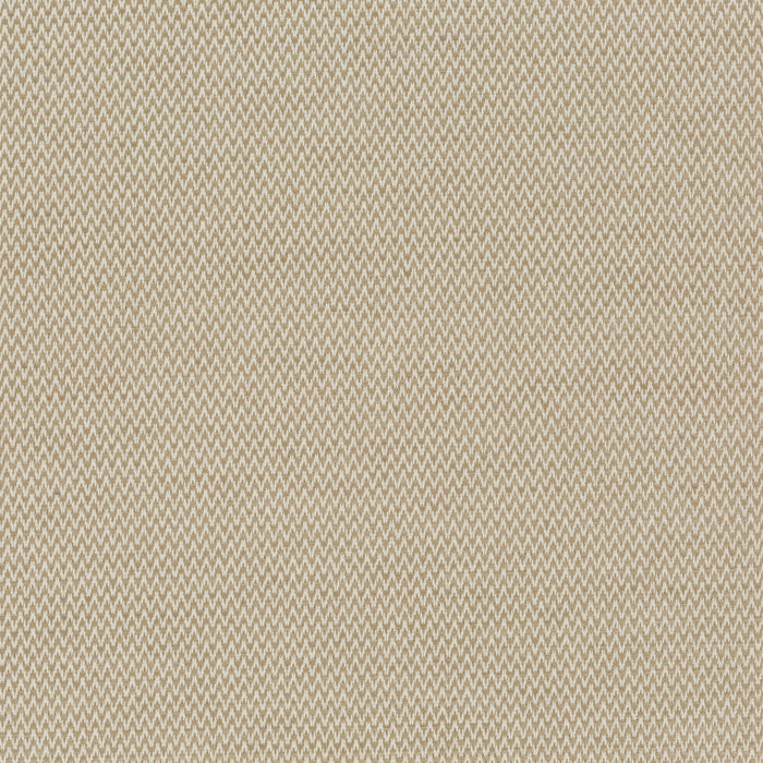 Carlucci Believer 071 Fabric Sample CA1664/071