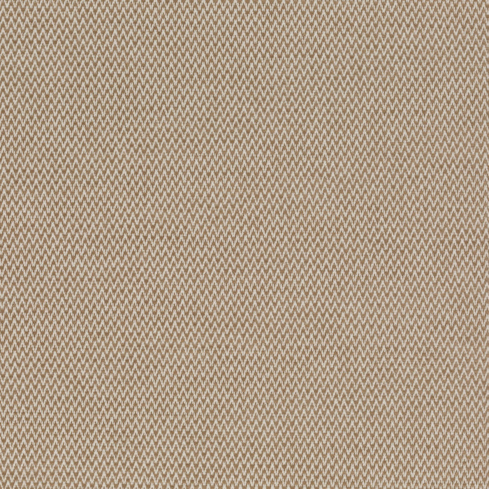 Carlucci Believer 072 Fabric CA1664/072