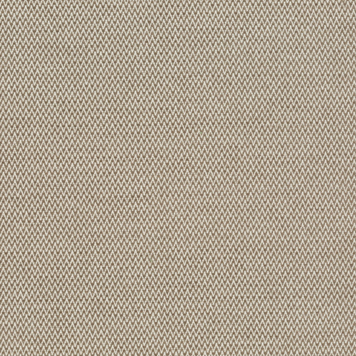 Carlucci Believer 073 Fabric Sample CA1664/073