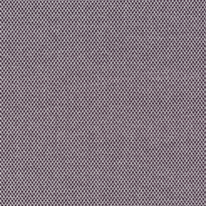 Carlucci Believer 080 Fabric CA1664/080