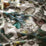 Carlucci Wild River 030 Fabric CA1666/030