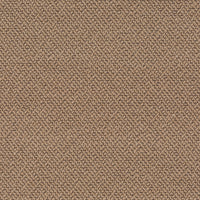 Carlucci Spellbound 020 Fabric CA1682/020