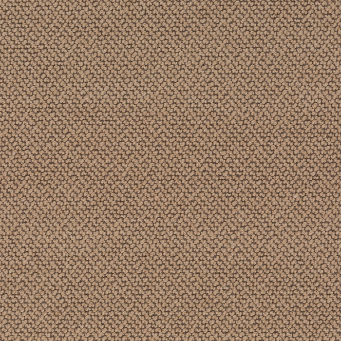 Carlucci Spellbound 020 Fabric Sample CA1682/020