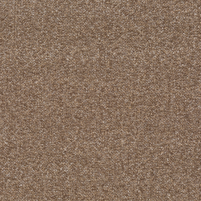 Carlucci Passion 021 Fabric Sample CA1686/021