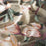 Carlucci Timeless Beauty 030 Fabric CA1692/030