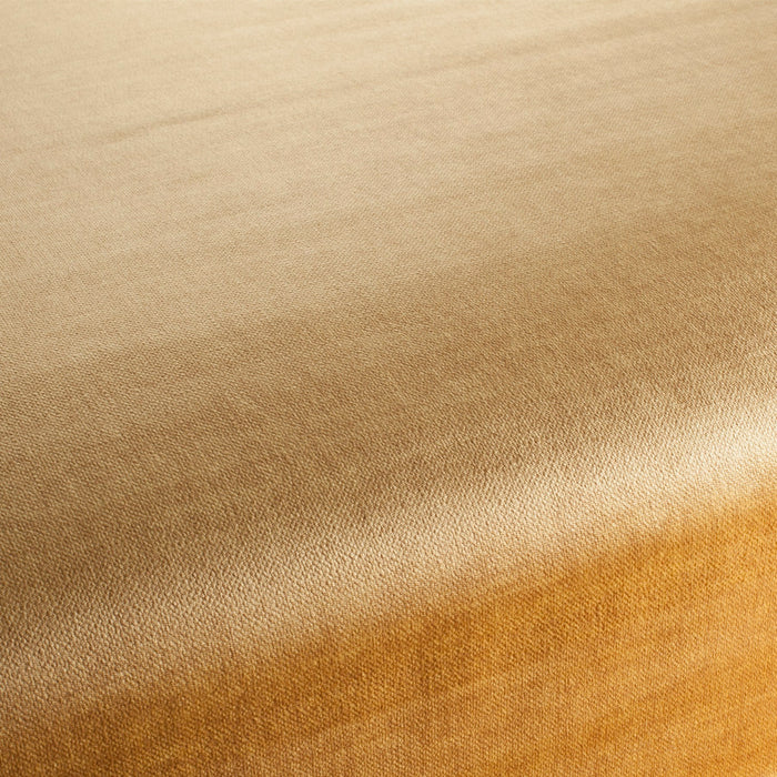 Carlucci Endless 041 Fabric CA1695/041