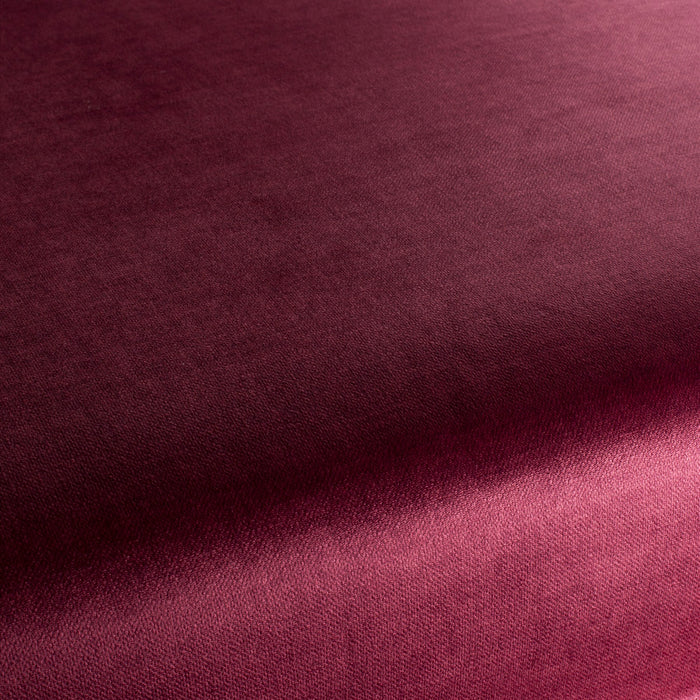 Carlucci Endless 065 Fabric Sample CA1695/065