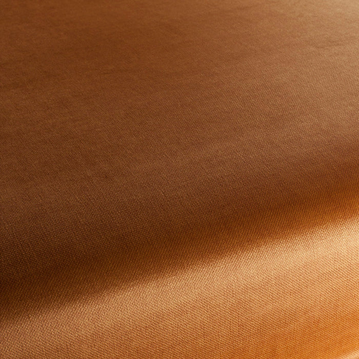 Carlucci Endless 066 Fabric CA1695/066