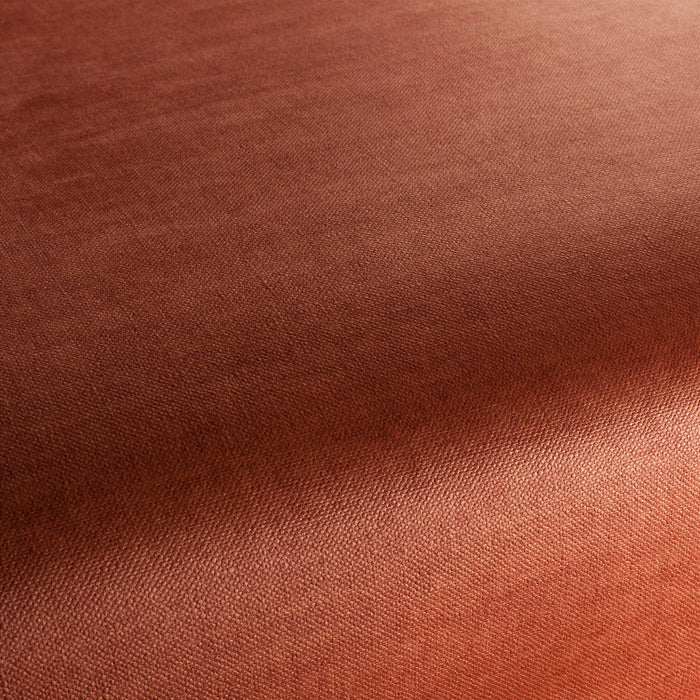 Carlucci Endless 067 Fabric CA1695/067