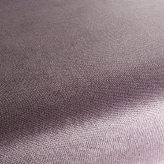 Carlucci Endless 082 Fabric CA1695/082