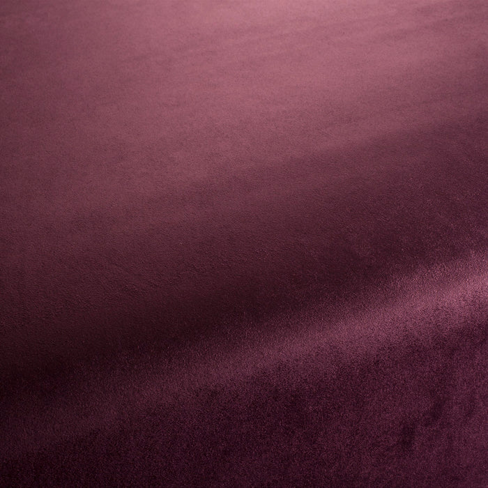 Carlucci Soulful 061 Fabric Sample CA1697/061