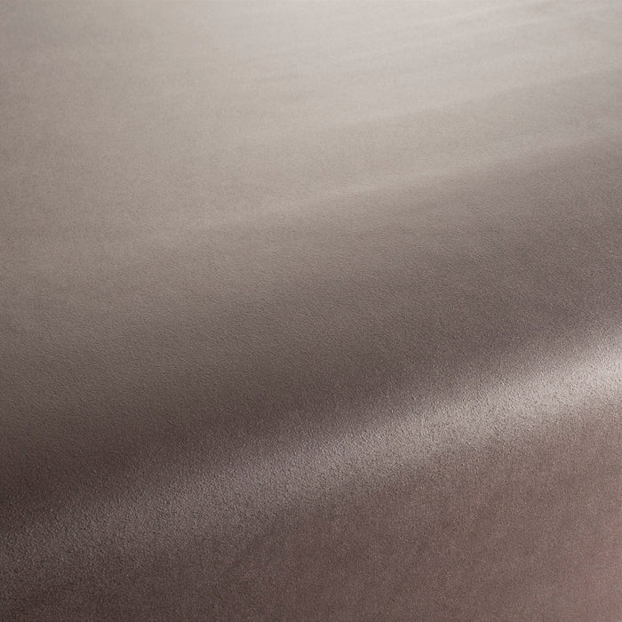 Carlucci Soulful 076 Fabric Sample CA1697/076