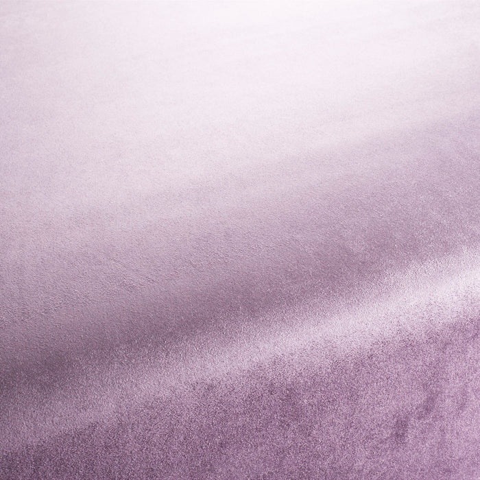 Carlucci Soulful 081 Fabric CA1697/081