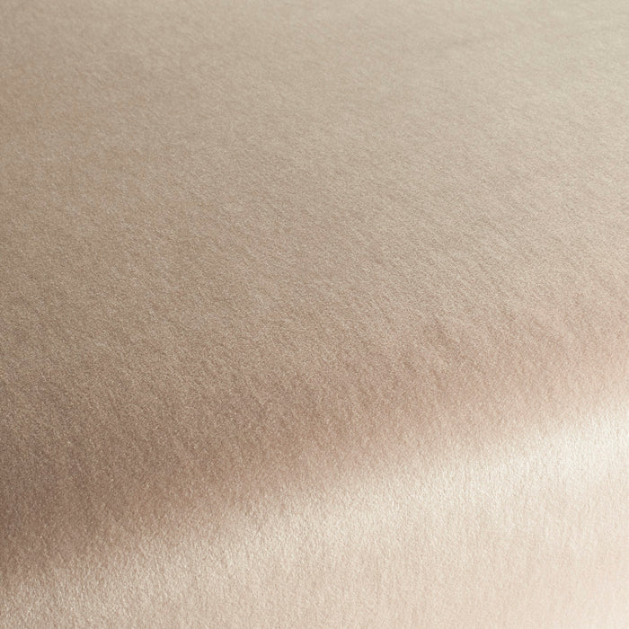 Carlucci Soft Wool Velvet 071 Fabric CA1736/071