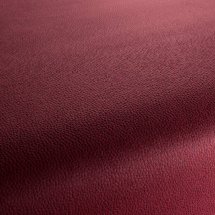Carlucci Legendary 010 Fabric Sample CA1746/010