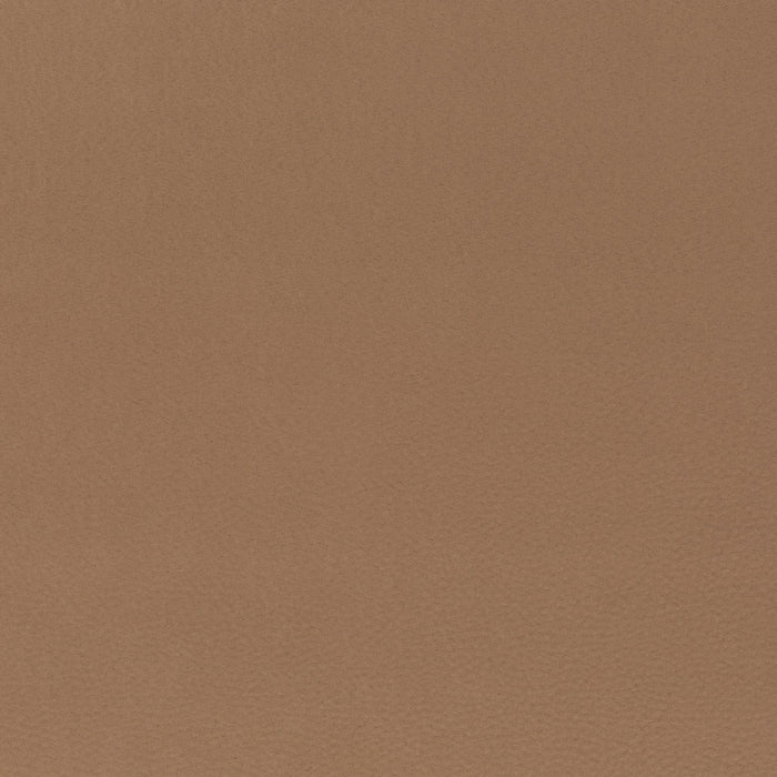 Carlucci Legendary 020 Fabric Sample CA1746/020