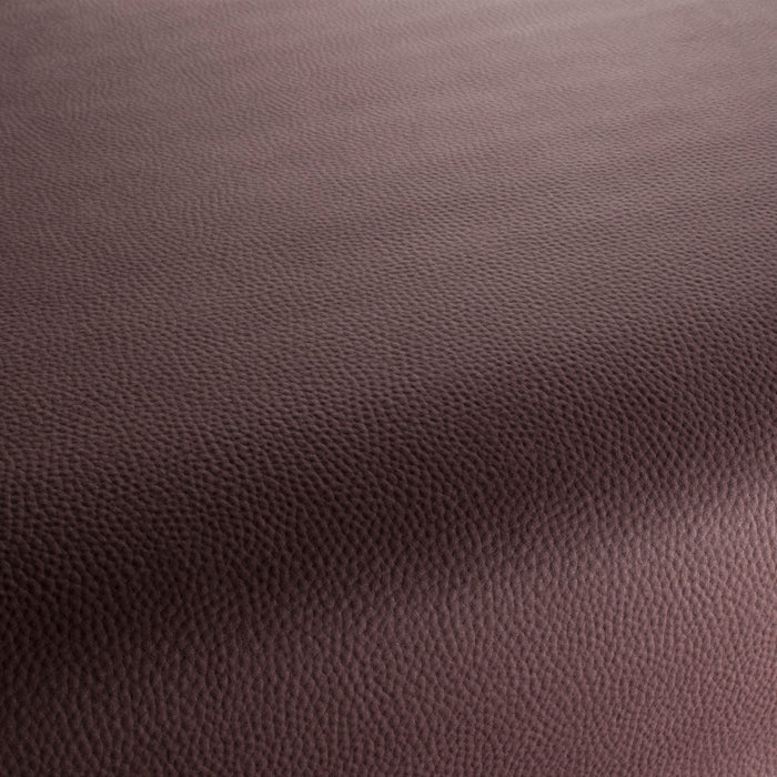 Carlucci Legendary 024 Fabric Sample CA1746/024