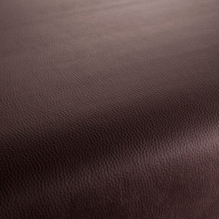 Carlucci Legendary 025 Fabric Sample CA1746/025