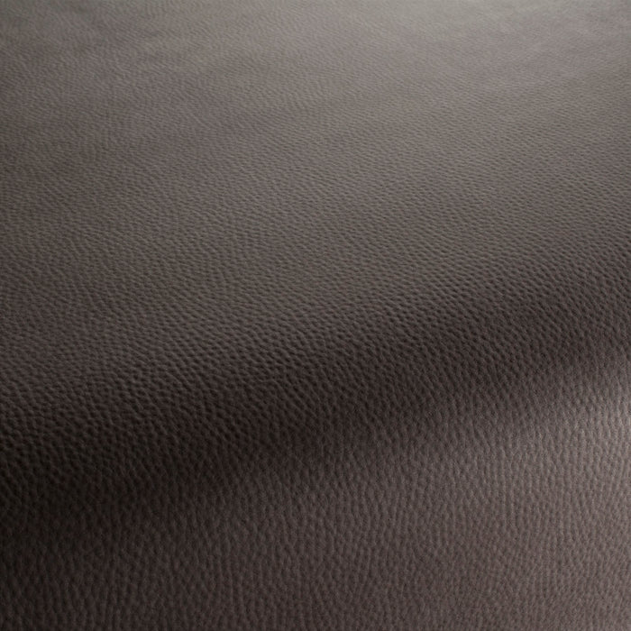 Carlucci Legendary 028 Fabric CA1746/028