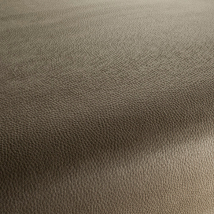 Carlucci Legendary 030 Fabric Sample CA1746/030