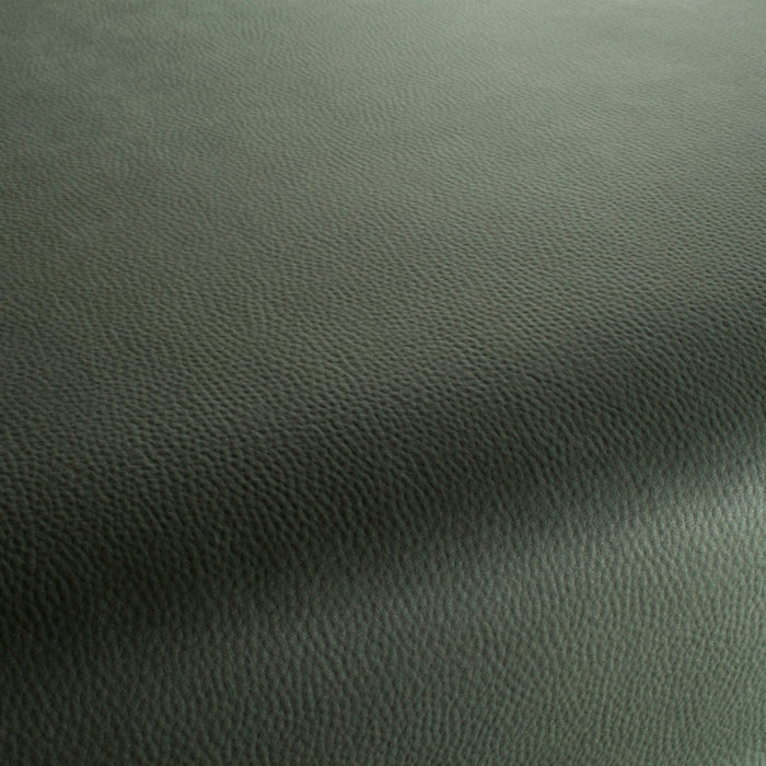 Carlucci Legendary 031 Fabric CA1746/031