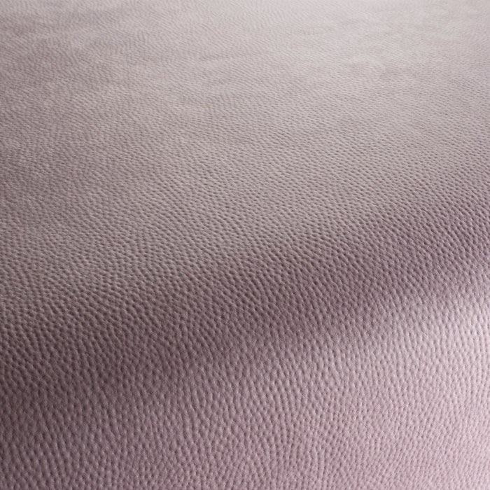 Carlucci Legendary 060 Fabric CA1746/060