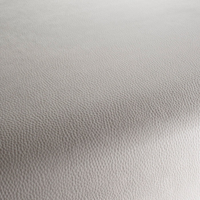 Carlucci Legendary 070 Fabric Sample CA1746/070