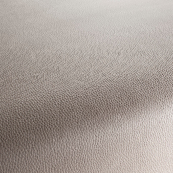 Carlucci Legendary 071 Fabric Sample CA1746/071