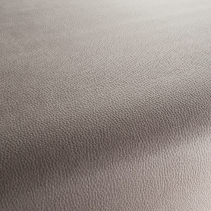 Carlucci Legendary 072 Fabric Sample CA1746/072
