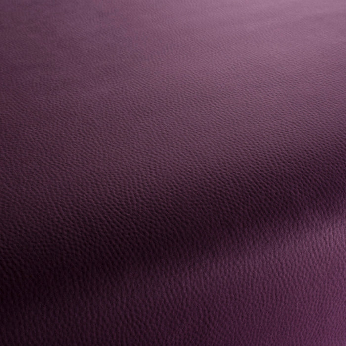 Carlucci Legendary 080 Fabric Sample CA1746/080