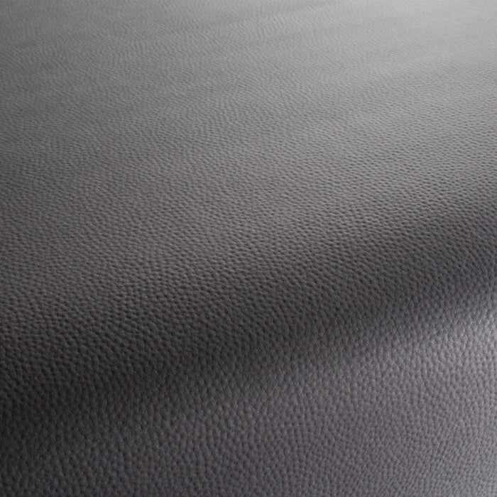 Carlucci Legendary 094 Fabric Sample CA1746/094