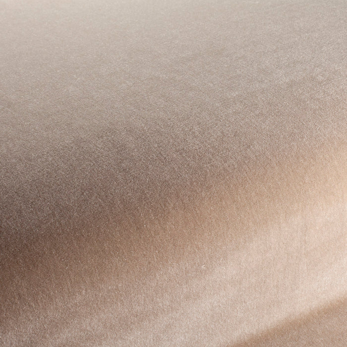 Carlucci Magical Mohair 020 Fabric CA1757/020