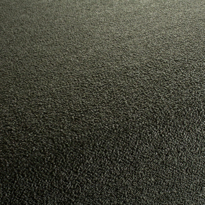 Carlucci Ascendent Reloaded 031 Fabric Sample CA1758/031