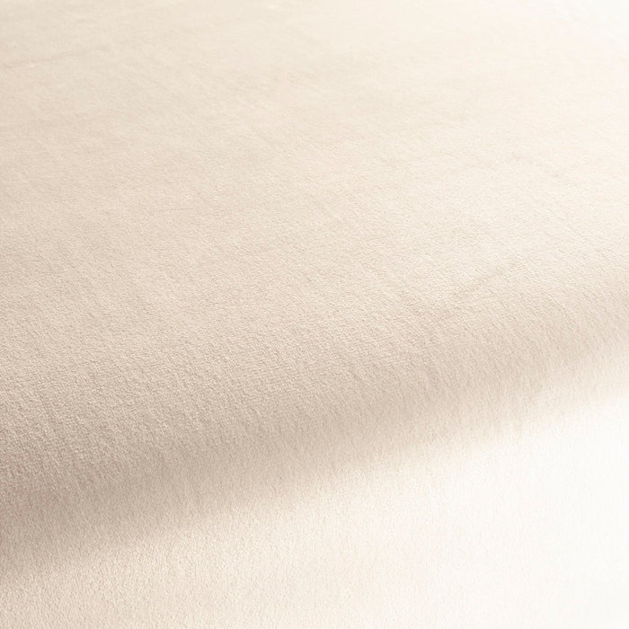 Carlucci Tender Kiss 070 Fabric Sample CA1793/070